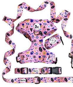 Alternative view of Pink Fortune Collar for Dogs