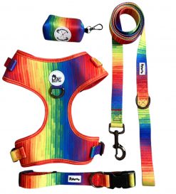 Pawsome - Full Spectrum of Love Dog leash - Image 5