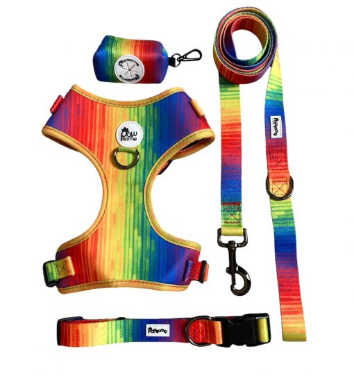 Pawsome - Full Spectrum of Love Dog leash - Image 3