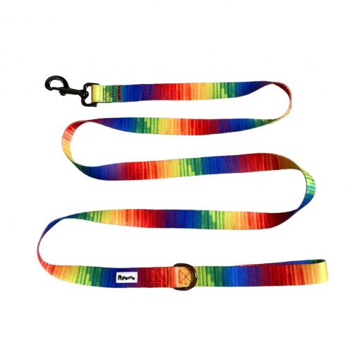 Pawsome - Full Spectrum of Love Dog leash