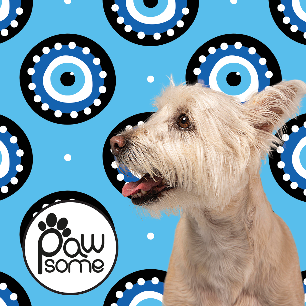 Pawsome - Turkish eye Blue Leash - Image 3