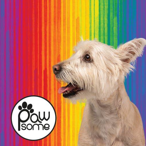 Pawsome - Full Spectrum of Love Dog leash - Image 4
