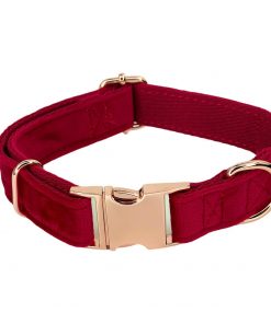 Hanz and Oley- Velvet Collar Red Rose