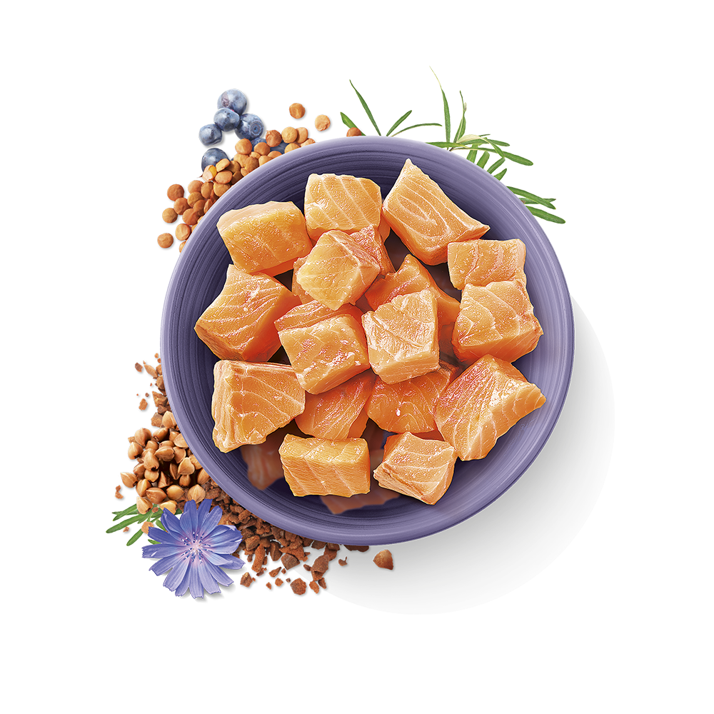 Carnilove True Fresh Fish for Adult Cats 1.8kg - Image 2