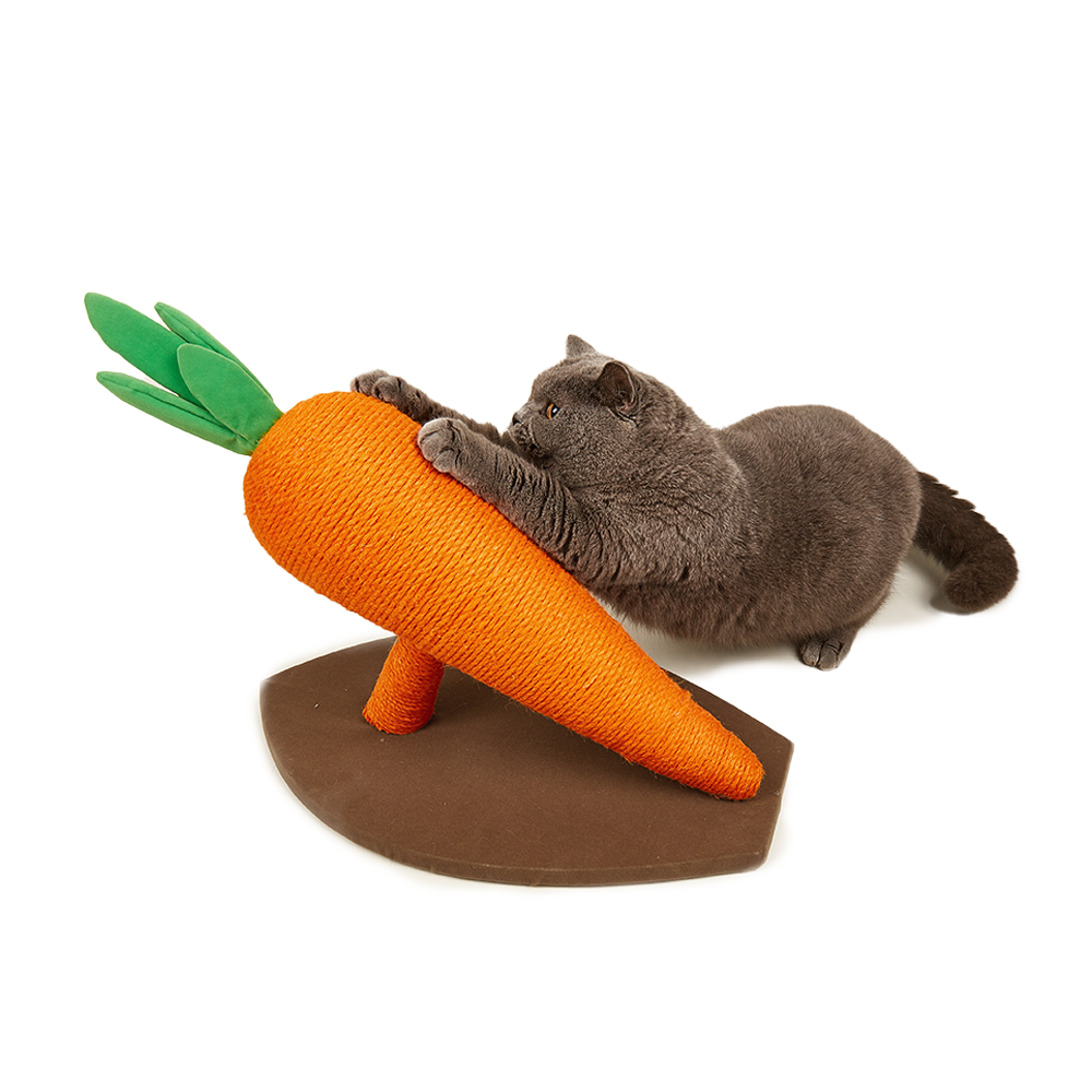 FOFOS Carrot Cat Scratcher L - Image 2