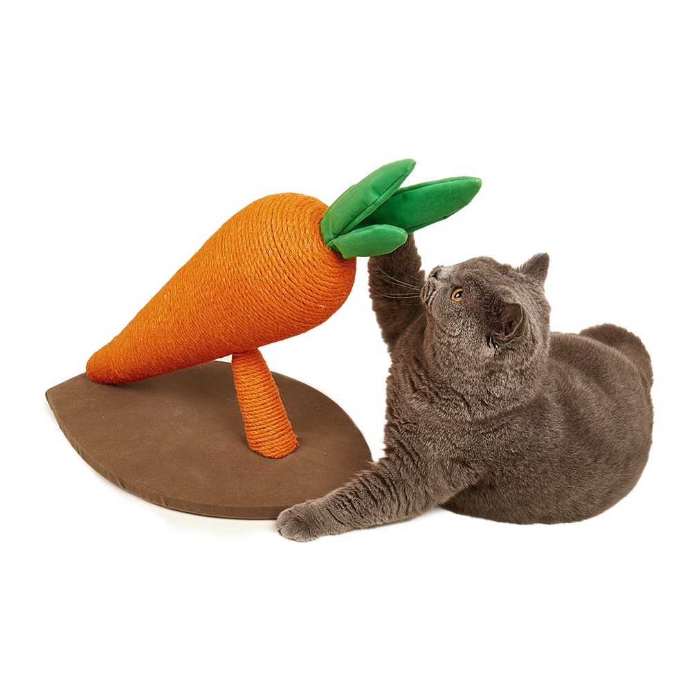 FOFOS Carrot Cat Scratcher L - Image 3
