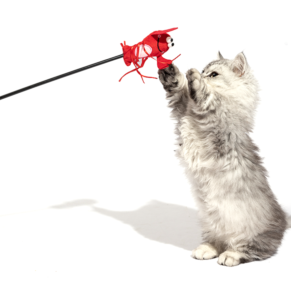 FOFOS Moving Lobster Cat Wand Cat Toy - Image 4