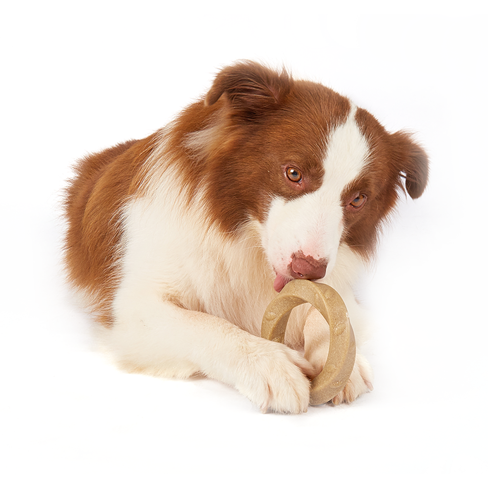 FOFOS Woodplay Ring Dog Toy - Image 3