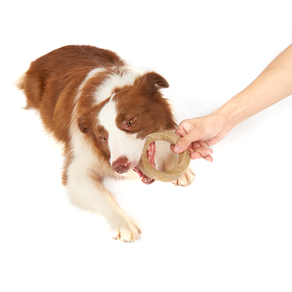 FOFOS Woodplay Ring Dog Toy - Image 4