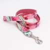Watermelon Inspired Leash By: Hanz & Oley