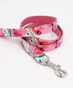 Watermelon Inspired Leash By: Hanz & Oley