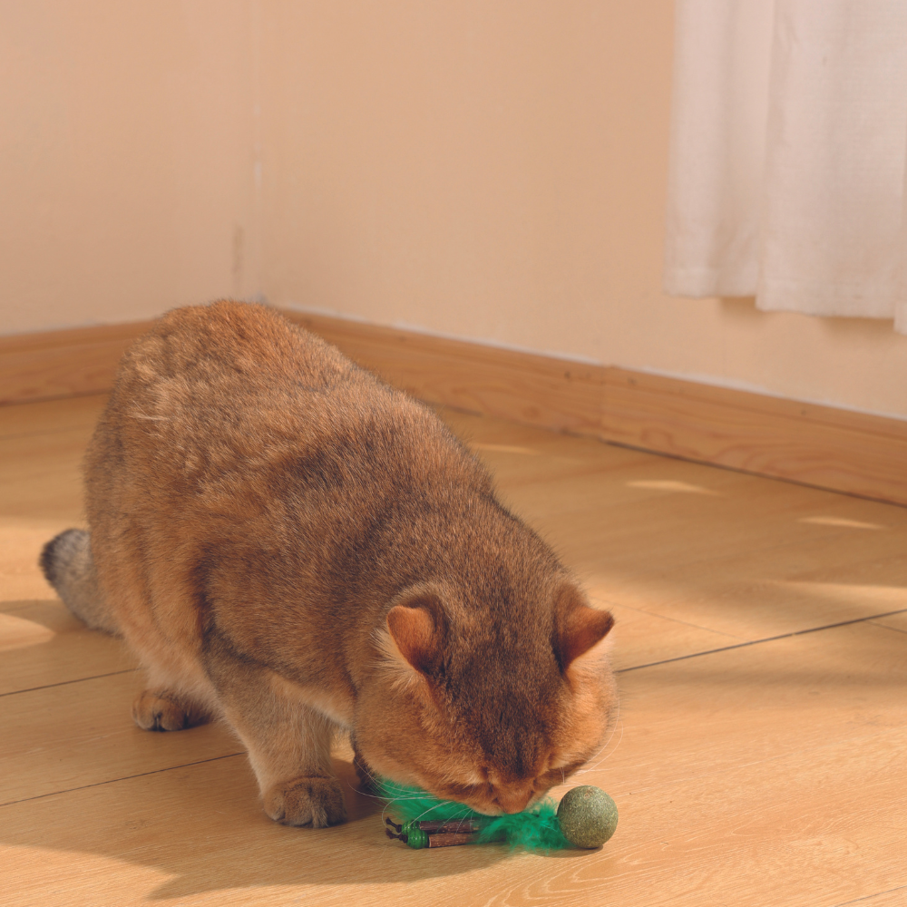 M-PETS Charmy Bugbear Green Catnip Cat Toy - Image 3