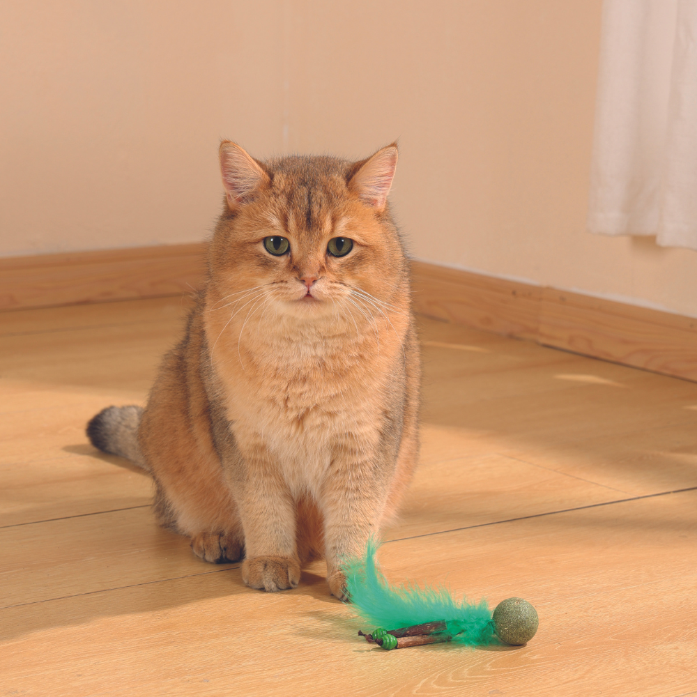 M-PETS Charmy Bugbear Green Catnip Cat Toy - Image 2