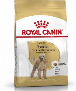 Royal Canin-Breed Health Nutrition Poodle Adult