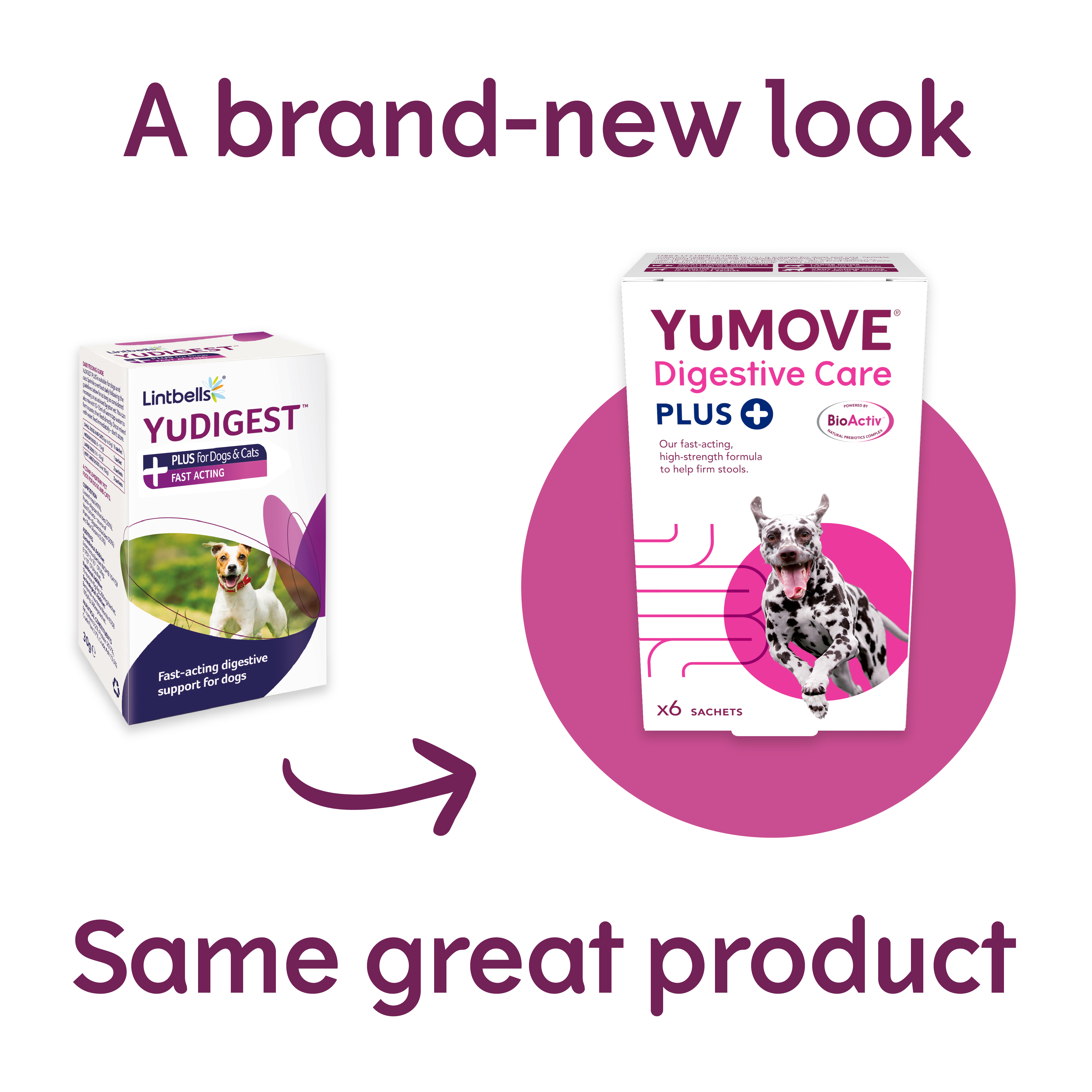 YuMOVE Digestive Care Plus 6 sachets - Image 2